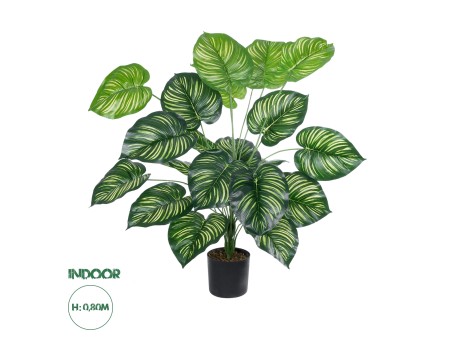 GloboStar® Artificial Garden CALATHEA PLANT 20922 Διακοσμητικό Φυτό Καλαθέα Φ70 x Υ80cm