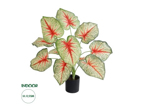 GloboStar® Artificial Garden CALADIUM PLANT 20932 Διακοσμητικό Φυτό Καλάντιουμ Φ58 x Υ55cm