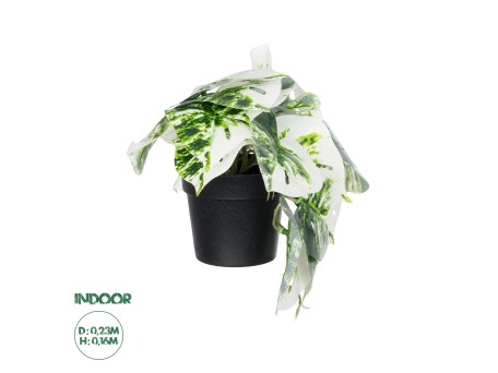 GloboStar® Artificial Garden ALBINO MONSTERA PLANT 20946 - Διακοσμητικό Φυτό Μονστέρα Φ23 x Υ16cm