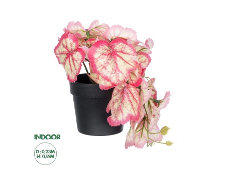 GloboStar® Artificial Garden RED BEGONIA PLANT 20948 Διακοσμητικό Φυτό Κόκκινη Βιγόνια Φ23 x Υ16cm