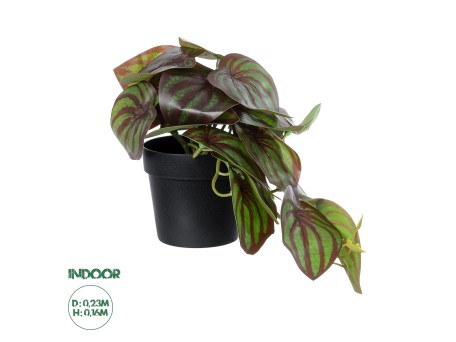 GloboStar® Artificial Garden BROWN PEPEROMIA PLANT 20952 Διακοσμητικό Φυτό Καφέ Πεπερόμια Φ23 x Υ16cm