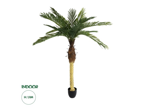 GloboStar® Artificial Garden PHOENIX PALM TREE 20968 Τεχνητό Διακοσμητικό Φυτό Φοίνικας Φ150 x Υ180cm GloboStar® Artificial Garden PHOENIX PALM TREE 20968 Τεχνητό Διακοσμητικό Φυτό Φοίνικας Φ150 x Υ180cm
