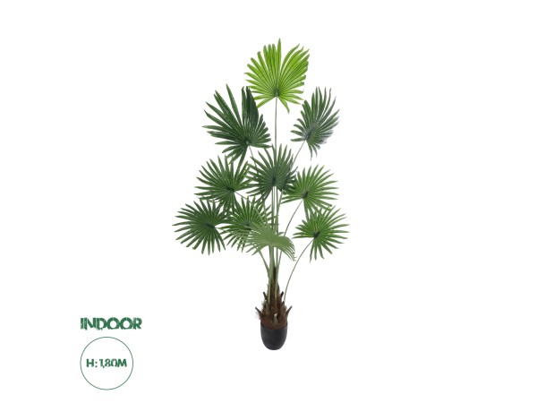 GloboStar® Artificial Garden SERENOA PALM PLANT 20972 Διακοσμητικό Φυτό Φοίνικα Σερενόα Φ103 x Υ180cm