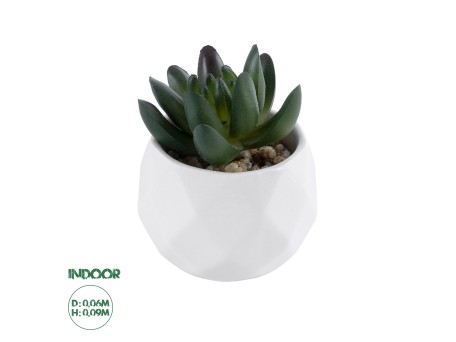 GloboStar® Artificial Garden SUCCULENT CRASSULA 20979 Διακοσμητικό Φυτό Παχύφυτο Κράσουλα Υ9cm