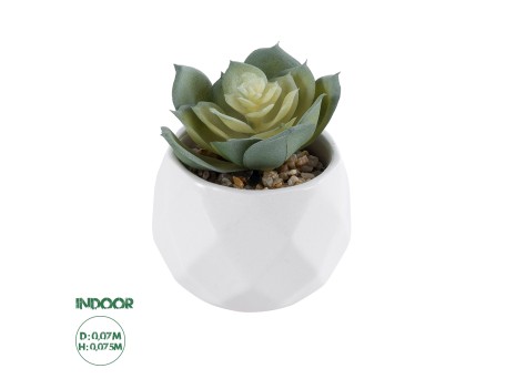 GloboStar® Artificial Garden SUCCULENT ECHEVERIA 20980 Διακοσμητικό Φυτό Παχύφυτο Εχεβέρια Υ7.5cm
