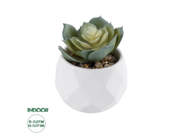 GloboStar® Artificial Garden SUCCULENT ECHEVERIA 20980 Διακοσμητικό Φυτό Παχύφυτο Εχεβέρια Υ7.5cm