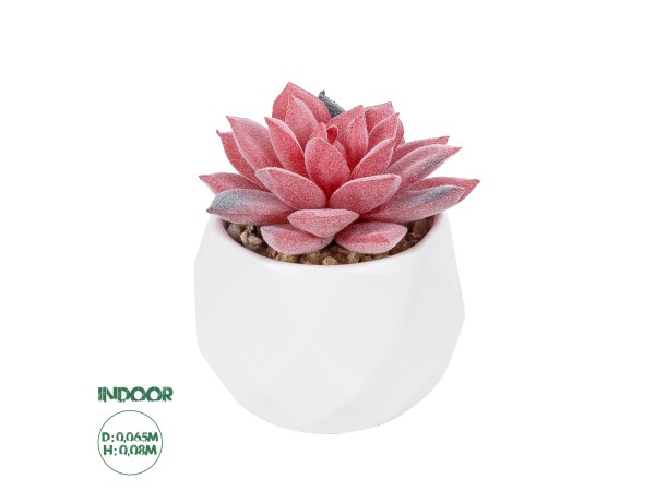 GloboStar® Artificial Garden SUCCULENT SEDEVERIA POTTED PLANT 20989 Διακοσμητικό Φυτό Σεδεβέρια Φ6,5 x Υ8cm