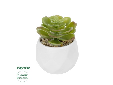 GloboStar® Artificial Garden SUCCULENT ECHEVERIA POTTED PLANT 20991 Διακοσμητικό Φυτό Εχεβέρια Φ6 x Υ8,5cm