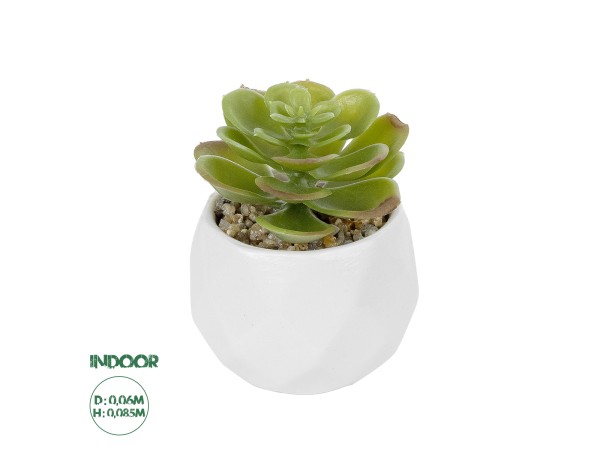 GloboStar® Artificial Garden SUCCULENT ECHEVERIA POTTED PLANT 20991 Διακοσμητικό Φυτό Εχεβέρια Φ6 x Υ8,5cm