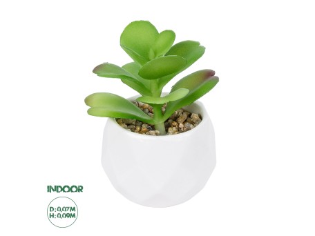 GloboStar® Artificial Garden SUCCULENT KALANCHOE POTTED PLANT 20995 Διακοσμητικό Φυτό Καλαχόη  Φ8 x Υ10cm