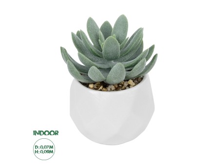 GloboStar® Artificial Garden SUCCULENT SEDEVERIA POTTED PLANT 20998 Διακοσμητικό Φυτό Σεδεβέρια  Φ7 x Υ9cm
