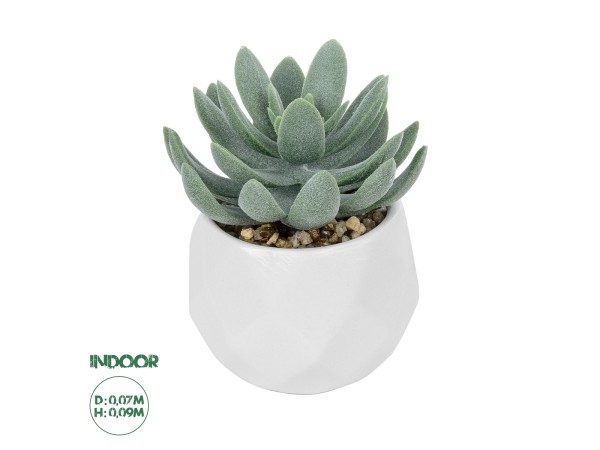 GloboStar® Artificial Garden SUCCULENT SEDEVERIA POTTED PLANT 20998 Διακοσμητικό Φυτό Σεδεβέρια  Φ7 x Υ9cm