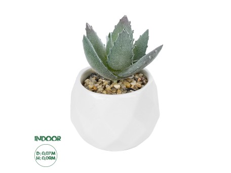 GloboStar® Artificial Garden SUCCULENT ALOE POTTED PLANT 20999 Διακοσμητικό Φυτό Αλόη  Φ7 x Υ9cm