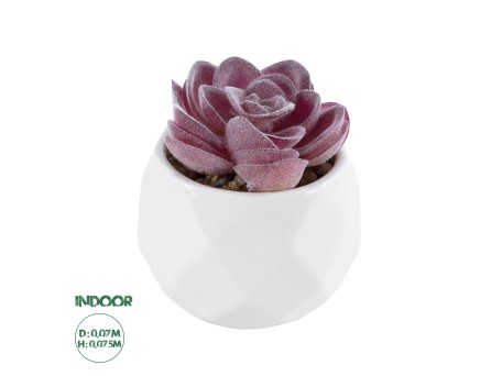 GloboStar® Artificial Garden SUCCULENT ECHEVERIA 21000 Διακοσμητικό Φυτό Παχύφυτο Εχεβέρια Υ7.5cm
