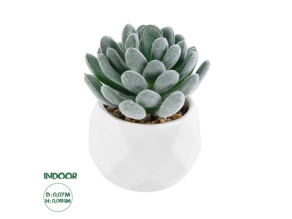 GloboStar® Artificial Garden SUCCULENT SEDEVERIA 21001 Διακοσμητικό Φυτό Παχύφυτο Σεντεβέρια Υ9.5cm GloboStar® Artificial Garden SUCCULENT SEDEVERIA 21001 Διακοσμητικό Φυτό Παχύφυτο Σεντεβέρια Υ9.5cm