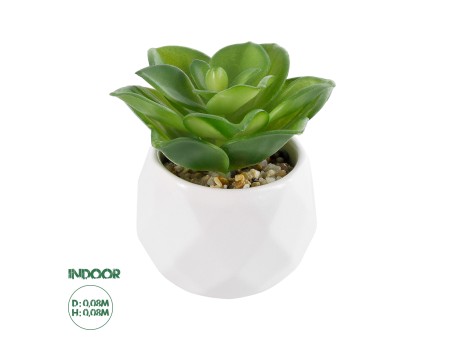GloboStar® Artificial Garden SUCCULENT ECHEVERIA 21003 Διακοσμητικό Φυτό Παχύφυτο Εχεβέρια Υ8cm