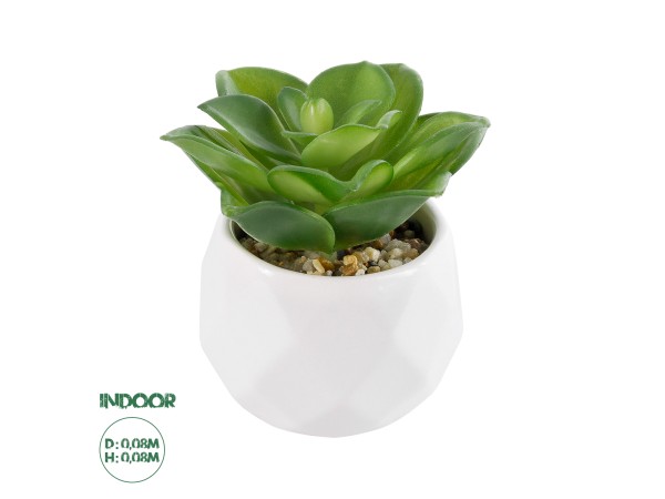 GloboStar® Artificial Garden SUCCULENT ECHEVERIA 21003 Διακοσμητικό Φυτό Παχύφυτο Εχεβέρια Υ8cm GloboStar® Artificial Garden SUCCULENT ECHEVERIA 21003 Διακοσμητικό Φυτό Παχύφυτο Εχεβέρια Υ8cm
