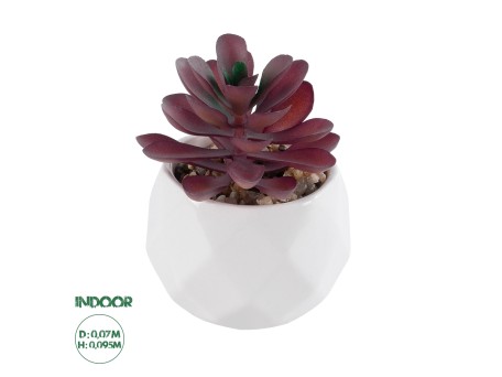 GloboStar® Artificial Garden SUCCULENT CRASSULA 21004 Διακοσμητικό Φυτό Παχύφυτο Κράσουλα Υ9.5cm