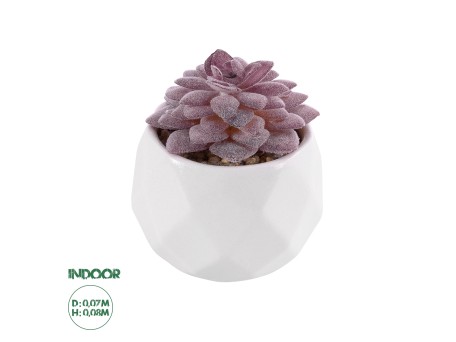 GloboStar® Artificial Garden SUCCULENT SEDEVERIA 21005 Διακοσμητικό Φυτό Παχύφυτο Σεντεβέρια Υ8cm