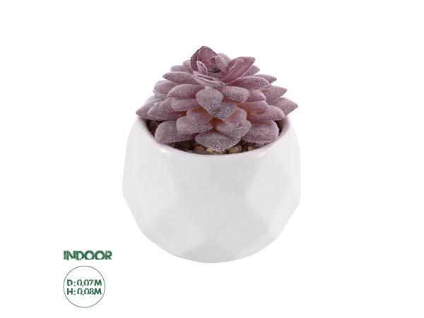 GloboStar® Artificial Garden SUCCULENT SEDEVERIA 21005 Διακοσμητικό Φυτό Παχύφυτο Σεντεβέρια Υ8cm