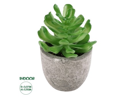 GloboStar® Artificial Garden SUCCULENT CRASSULA 21014 Διακοσμητικό Φυτό Παχύφυτο Κράσουλα Υ11.5cm