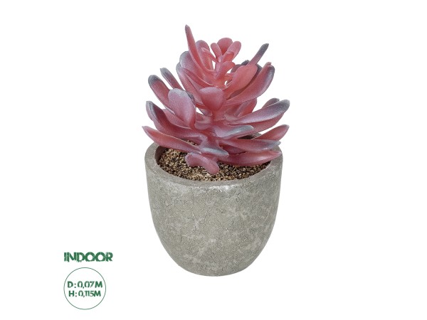 GloboStar® Artificial Garden SUCCULENT CRASSULA POTTED PLANT 21015 Διακοσμητικό Φυτό Κρασούλα  Φ7 x Υ11,5cm
