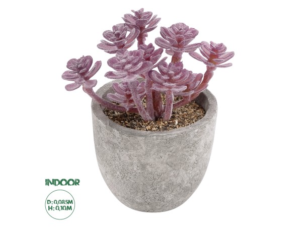 GloboStar® Artificial Garden SUCCULENT SEDUM 21017 Διακοσμητικό Φυτό Παχύφυτο Σέδο Υ10cm