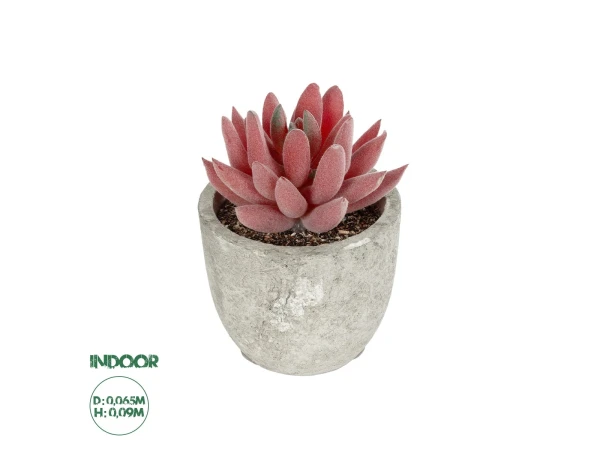 GloboStar® Artificial Garden SUCCULENT SEDEVERIA 21020 Τεχνητό Διακοσμητικό Φυτό Σεδεβέρια Μ6.5 x Π6.5 x Υ9cm