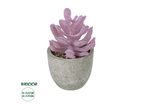 GloboStar® Artificial Garden SUCCULENT CRASSULA POTTED PLANT 21029 Διακοσμητικό Φυτό Κρασούλα  Φ7 x Υ10,5cm