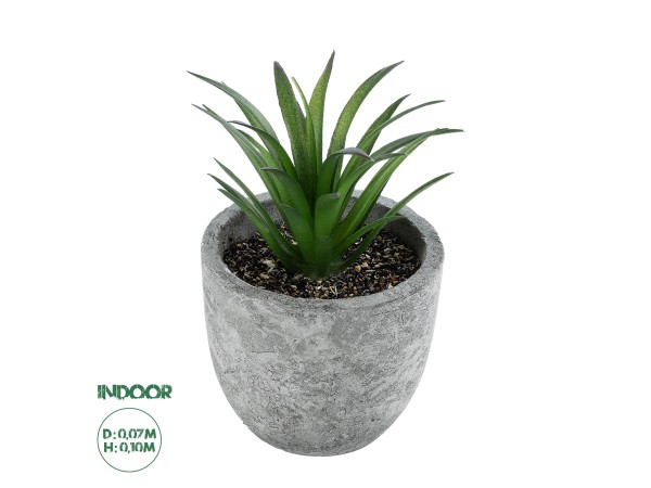 GloboStar® Artificial Garden SUCCULENT ALOE 21030 Διακοσμητικό Φυτό Παχύφυτο Αλόη Υ10cm GloboStar® Artificial Garden SUCCULENT ALOE 21030 Διακοσμητικό Φυτό Παχύφυτο Αλόη Υ10cm