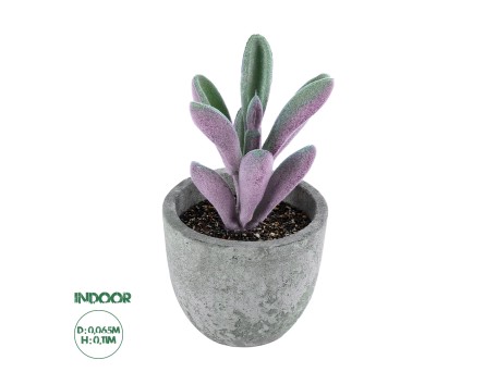 GloboStar® Artificial Garden SUCCULENT CRASULLA 21031 Διακοσμητικό Φυτό Παχύφυτο Κράσουλα Υ11cm