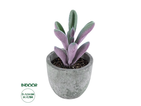GloboStar® Artificial Garden SUCCULENT CRASULLA 21031 Διακοσμητικό Φυτό Παχύφυτο Κράσουλα Υ11cm