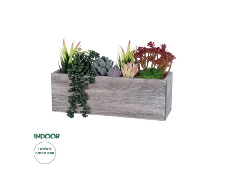 GloboStar® Artificial Garden SUCCULENT VARIUS PLANT POTTED 21033 Διακοσμητικό Φυτό Μίξ Μ29 x Π10 x Υ18cm