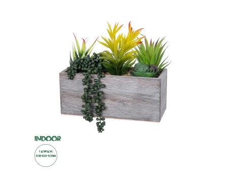 GloboStar® Artificial Garden SUCCULENT VARIUS PLANT POTTED 21034 Διακοσμητικό Φυτό Μίξ Μ23 x Π13 x Υ23cm