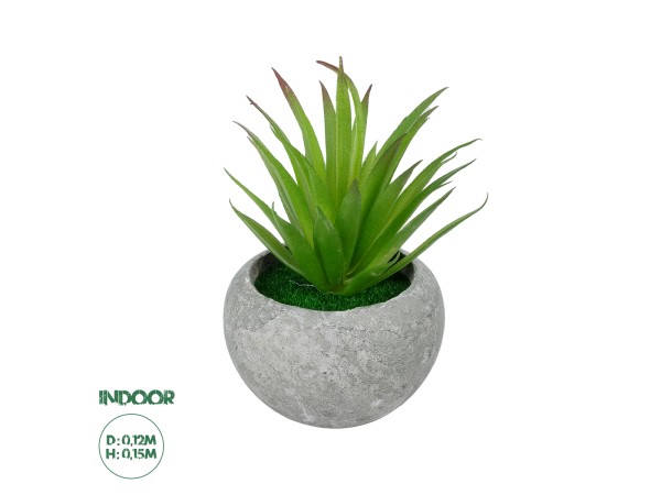 GloboStar® Artificial Garden AIR PLANT TILLANDSIA POTTED PLANT 21036 Διακοσμητικό Φυτό Τιλάντσια Φ12 x Υ15cm GloboStar® Artificial Garden AIR PLANT TILLANDSIA POTTED PLANT 21036 Διακοσμητικό Φυτό Τιλάντσια Φ12 x Υ15cm