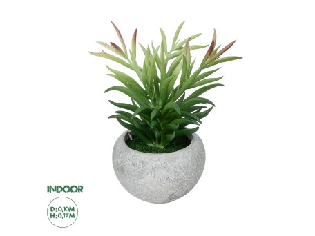 GloboStar® Artificial Garden SUCCULENT CRASSULA POTTED PLANT 21038 Διακοσμητικό Φυτό Κρασούλα  Φ10 x Υ17cm