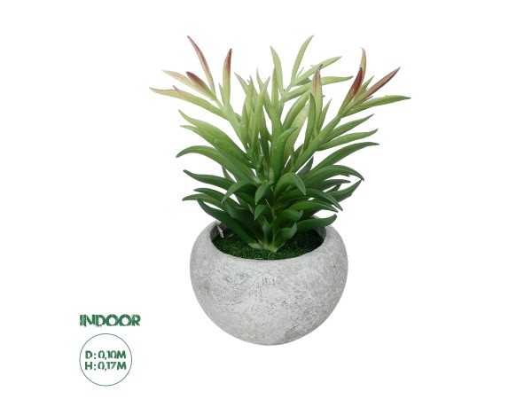 GloboStar® Artificial Garden SUCCULENT CRASSULA POTTED PLANT 21038 Διακοσμητικό Φυτό Κρασούλα  Φ10 x Υ17cm