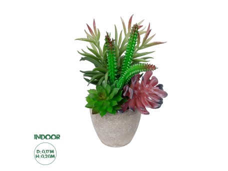 GloboStar® Artificial Garden SUCCULENT VARIUS PLANT POTTED 21039 Διακοσμητικό Φυτό Μίξ Μ17 x Υ20cm
