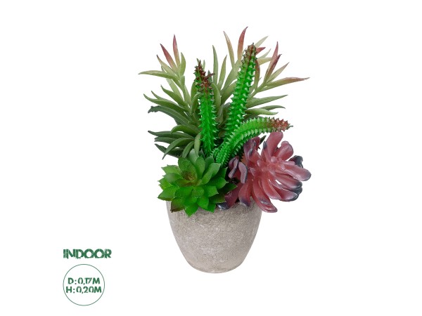 GloboStar® Artificial Garden SUCCULENT VARIUS PLANT POTTED 21039 Διακοσμητικό Φυτό Μίξ Μ17 x Υ20cm