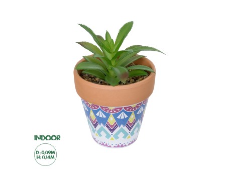 GloboStar® Artificial Garden SUCCULENT ALOE POTTED PLANT 21040 Διακοσμητικό Φυτό Αλόη Φ9 x Υ14cm