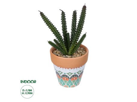 GloboStar® Artificial Garden SUCCULENT EUPHORBIA POTTED PLANT 21045 Διακοσμητικό Φυτό Ευφορβία Φ11 x Υ19cm