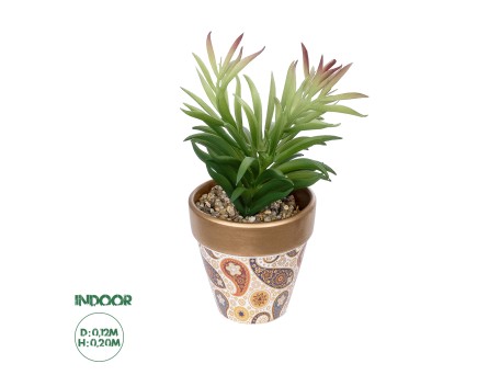 GloboStar® Artificial Garden SUCCULENT CRASSULA POTTED PLANT 21046 Διακοσμητικό Φυτό Κρασούλα  Φ12 x Υ20cm