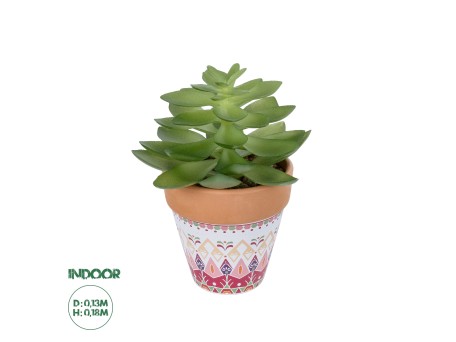 GloboStar® Artificial Garden SUCCULENT ECHEVERIA POTTED PLANT 21048 Διακοσμητικό Φυτό Εχεβέρια Φ13 x Υ18cm