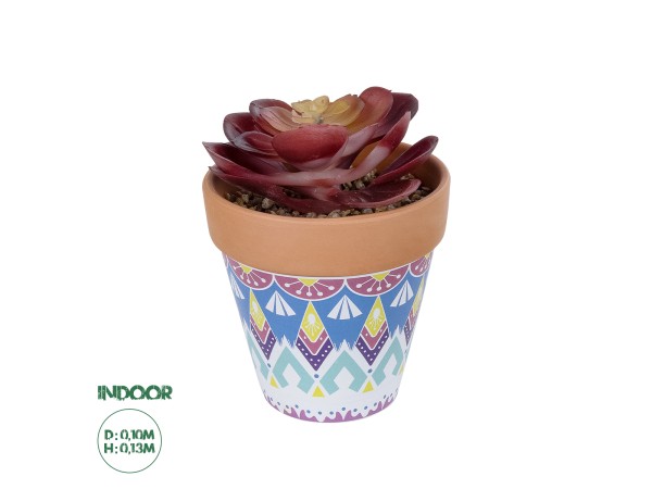 GloboStar® Artificial Garden SUCCULENT ECHEVERIA POTTED PLANT 21050 Διακοσμητικό Φυτό Εχεβέρια Φ10 x Υ13cm GloboStar® Artificial Garden SUCCULENT ECHEVERIA POTTED PLANT 21050 Διακοσμητικό Φυτό Εχεβέρια Φ10 x Υ13cm