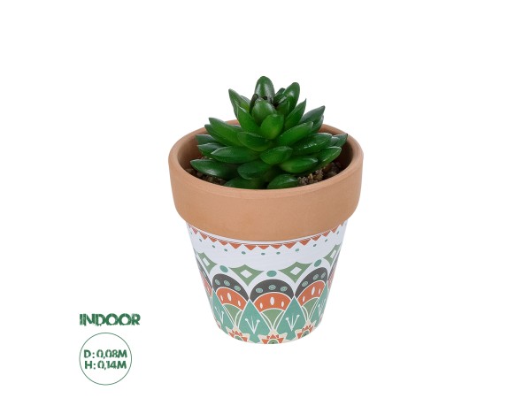 GloboStar® Artificial Garden SUCCULENT SANSEVIERIA POTTED PLANT 21051 Διακοσμητικό Φυτό Σανσεβιέρια  Φ8x Υ14cm