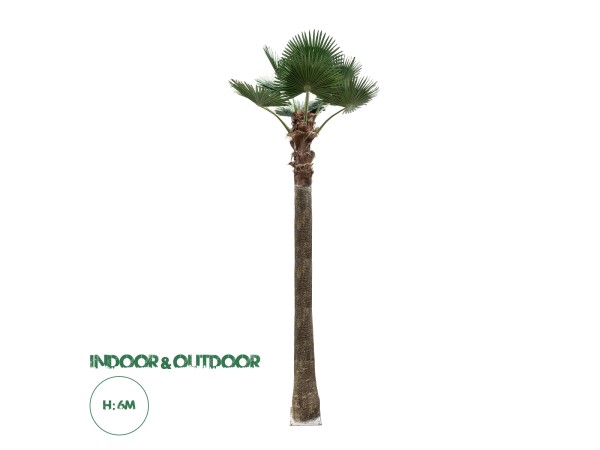 GloboStar® Artificial Garden PLANT PALM TREE 21057 Διακοσμητικό Δέντρο Φοίνικα  Φ240 x Υ600cm