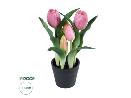 GloboStar® Artificial Garden PINK TULIP 21092 Διακοσμητικό Φυτό Ροζ Τουλίπα Υ23cm
