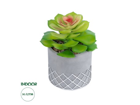 GloboStar® Artificial Garden SUCCULENT SEDEVERIA 21095 Διακοσμητικό Φυτό Παχύφυτο Σεντεβέρια Υ17cm