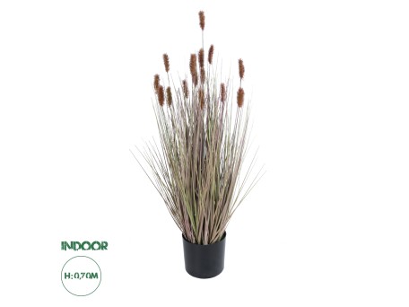 GloboStar® Artificial Garden BROWN LAGURUS 21099 Διακοσμητικό Φυτό Καφέ Λαγοουρά Υ70cm