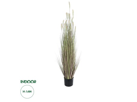 GloboStar® Artificial Garden BEIGE LAGURUS 21102 Διακοσμητικό Φυτό Μπεζ Λαγοουρά Υ140cm